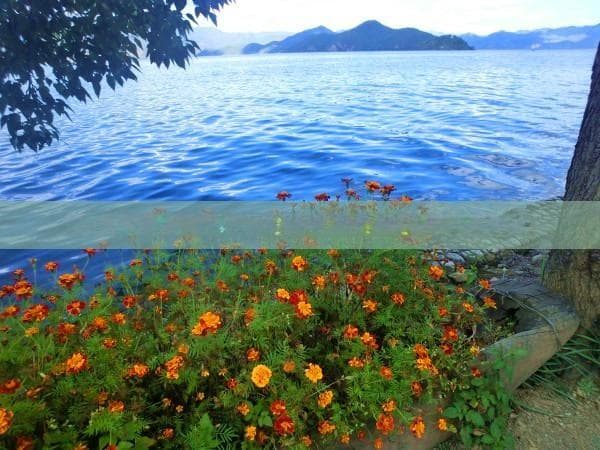 郴州四日深度游全攻略：必去景点、美食推荐与旅行小贴士
