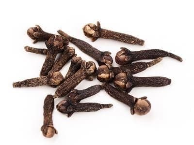 丁香的功效与作用