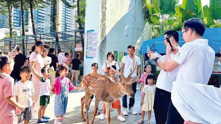 大亚湾开发区中小学推出多维学科融合课程