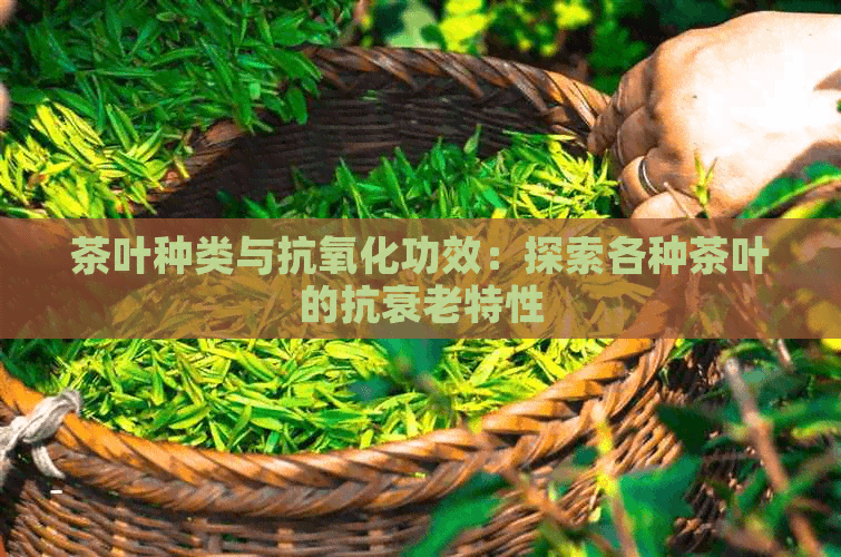 茶叶种类与抗氧化功效：探索各种茶叶的抗衰老特性