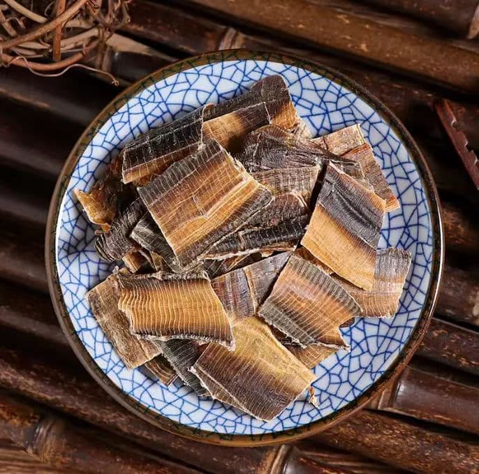 【药学小课堂】立夏，为您介绍清热定惊的“地龙”
