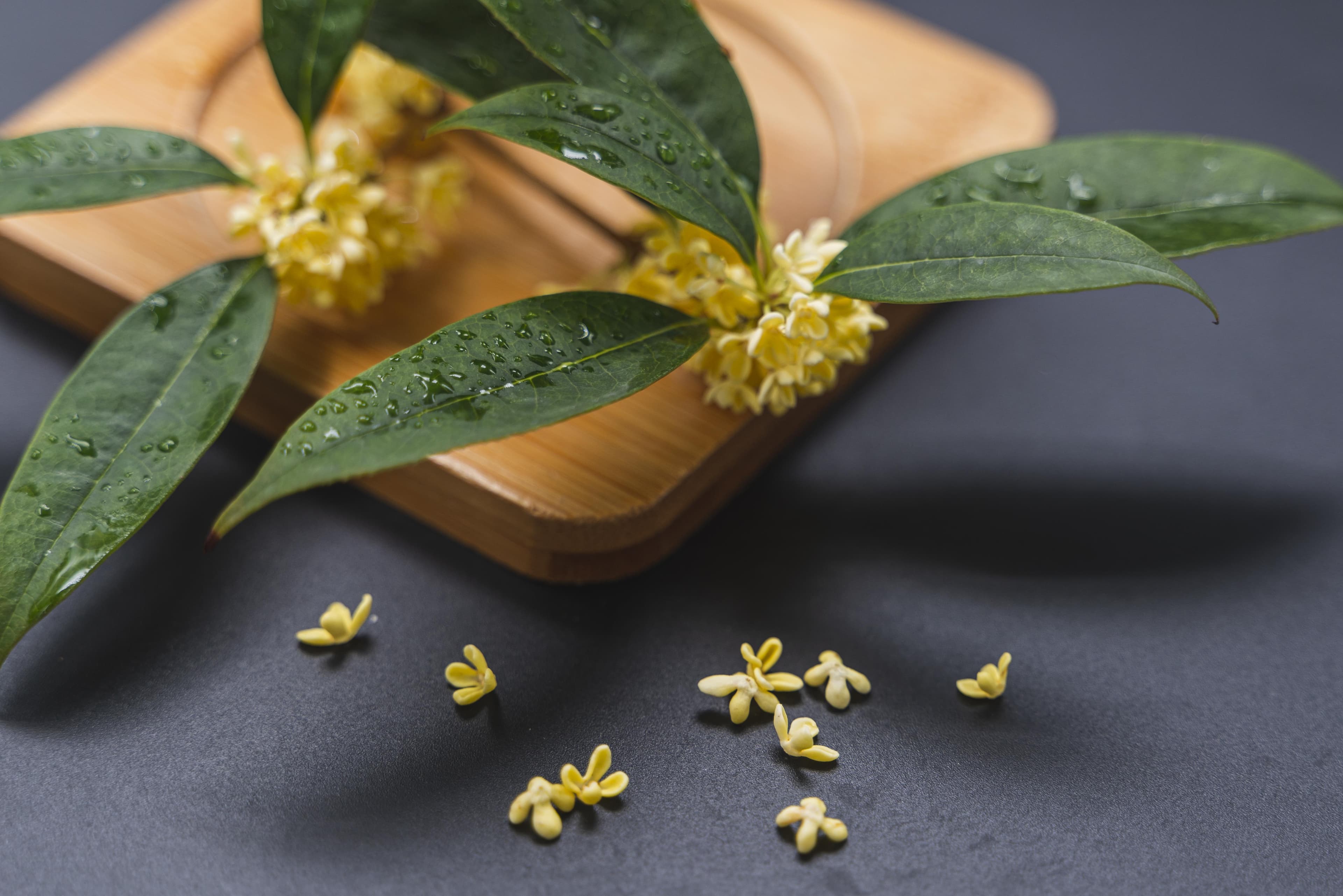 桂花、桂皮、桂叶、桂圆、桂木……这些"桂"物到底啥关系？