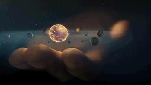 谁在背后安排了宇宙的一切？爱因斯坦与杨振宁的科学探索
