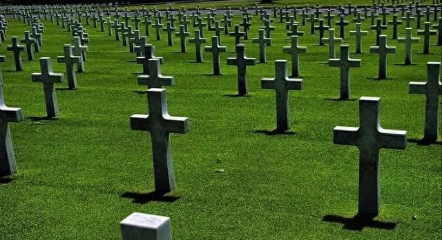 逃避对死亡的教育，某种意义上就是逃避对生的思考