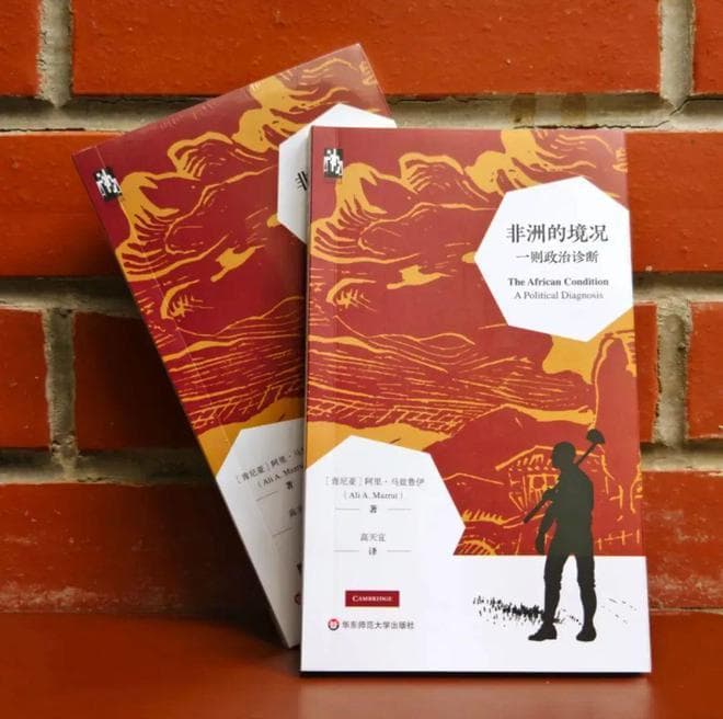 《非洲的境况：一则政治诊断》：了解非洲困境的根源