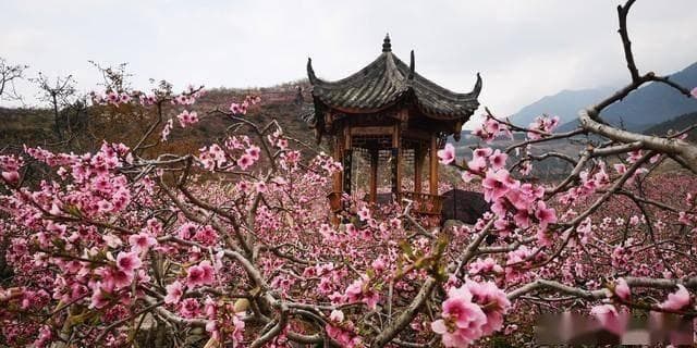 苏州桃花坞年画：传承与创新中的“江南气质”与“和”之美