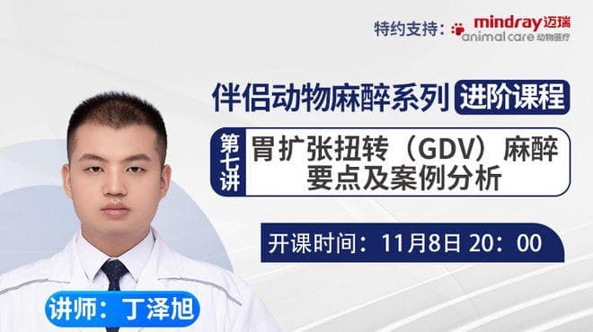 尿液管型的类型和解读