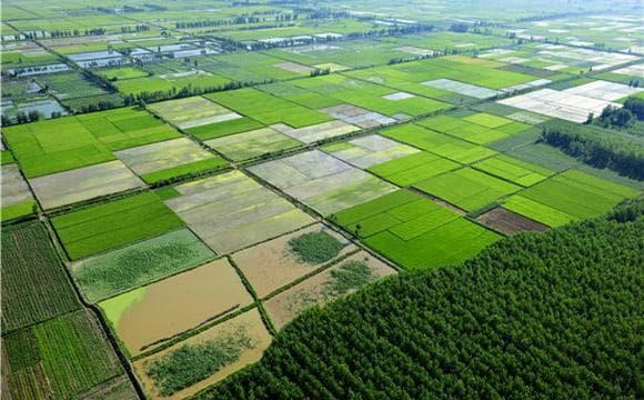 永久基本农田保护知识与政策详解