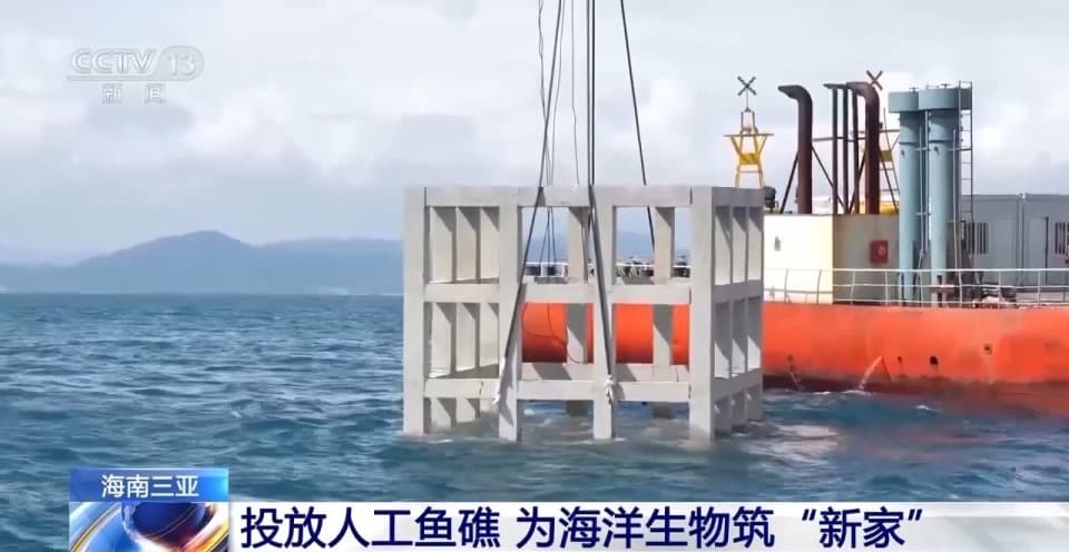 16个人工鱼礁入海 海洋生物添“新家”