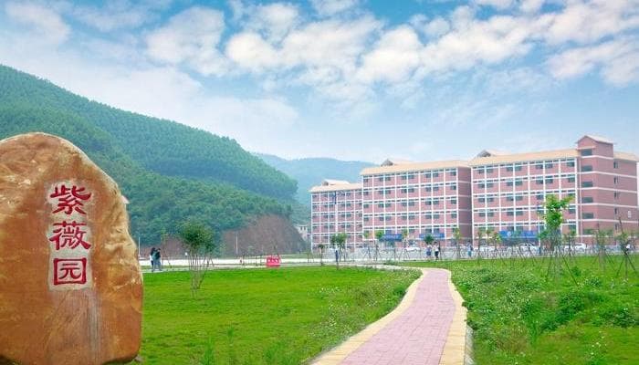2025年广州珠江职业技术学院收费情况