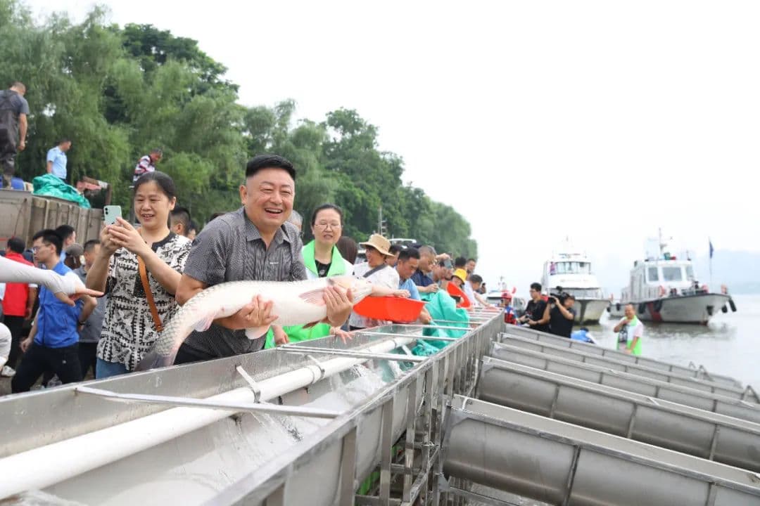 绝大多数湖南人不知道，湘江究竟有多少种鱼