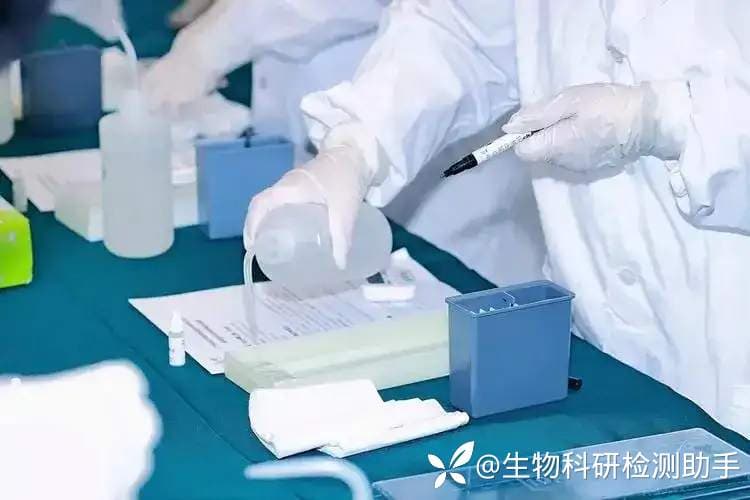 超详细解读——免疫组化实验原理、操作步骤和注意事项，新手快速入门必看！