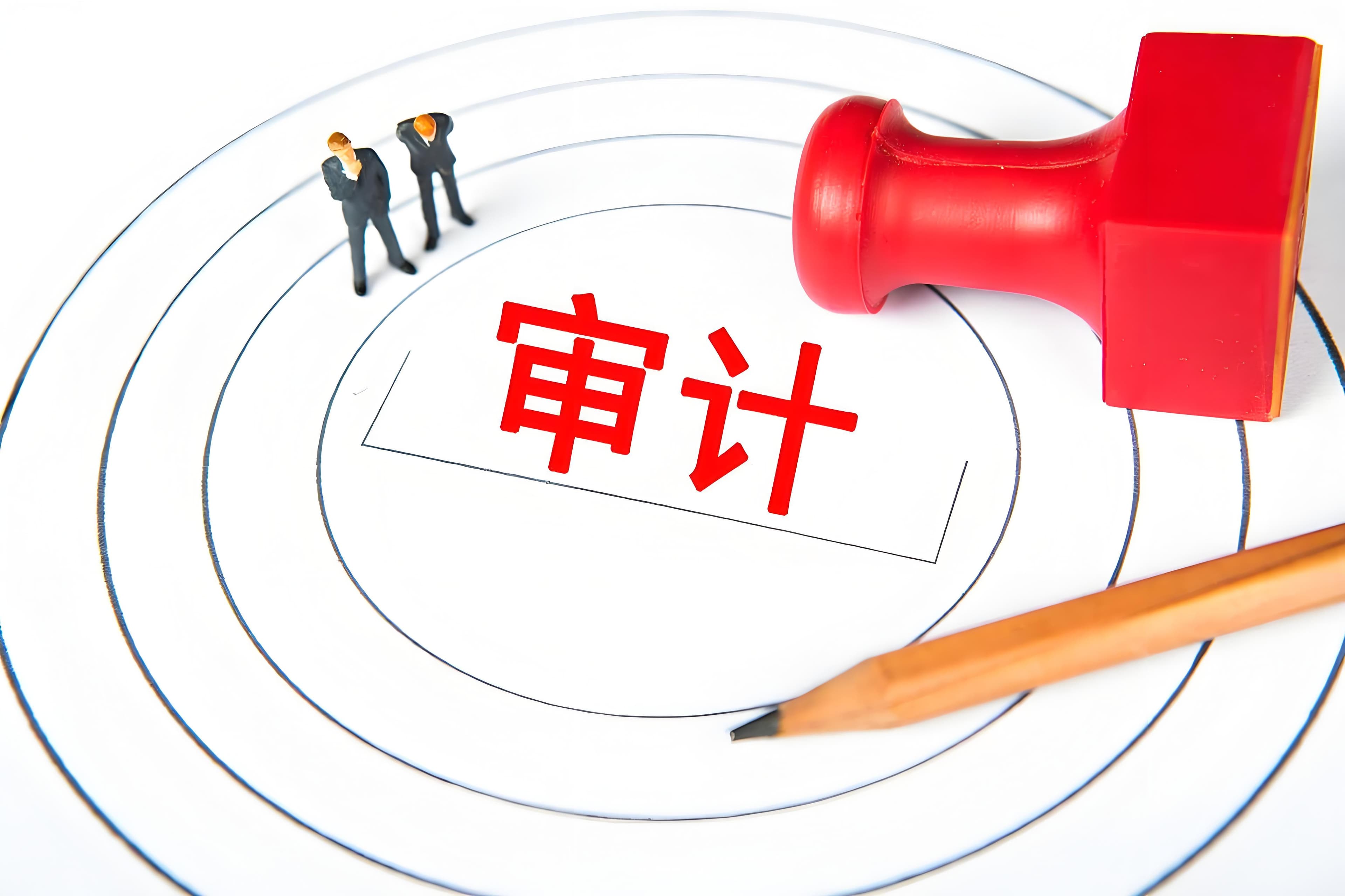 财务领域的重要一环：审计工作的深度剖析