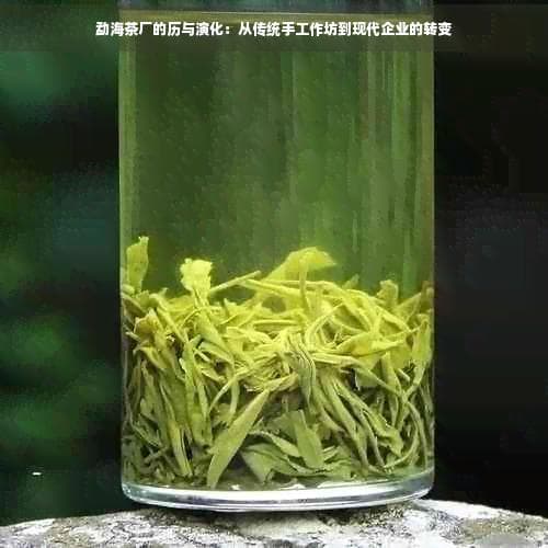 勐海茶厂的历与演化：从传统手工作坊到现代企业的转变