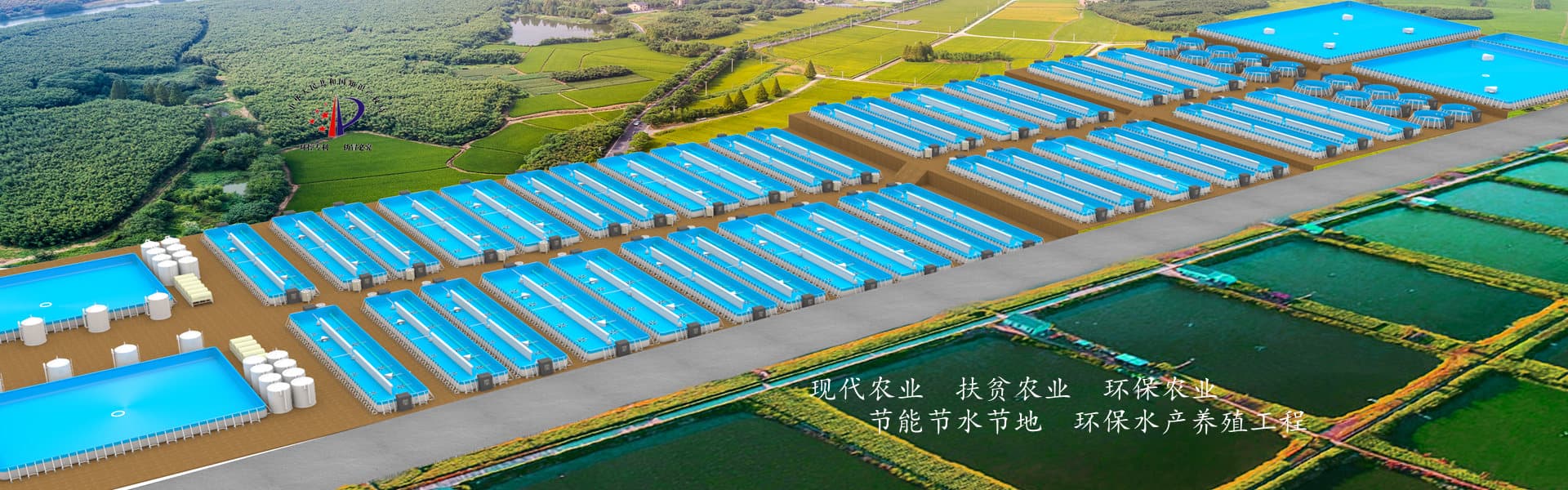 池塘工业化循环水养殖系统：科技赋能水产养殖绿色发展
