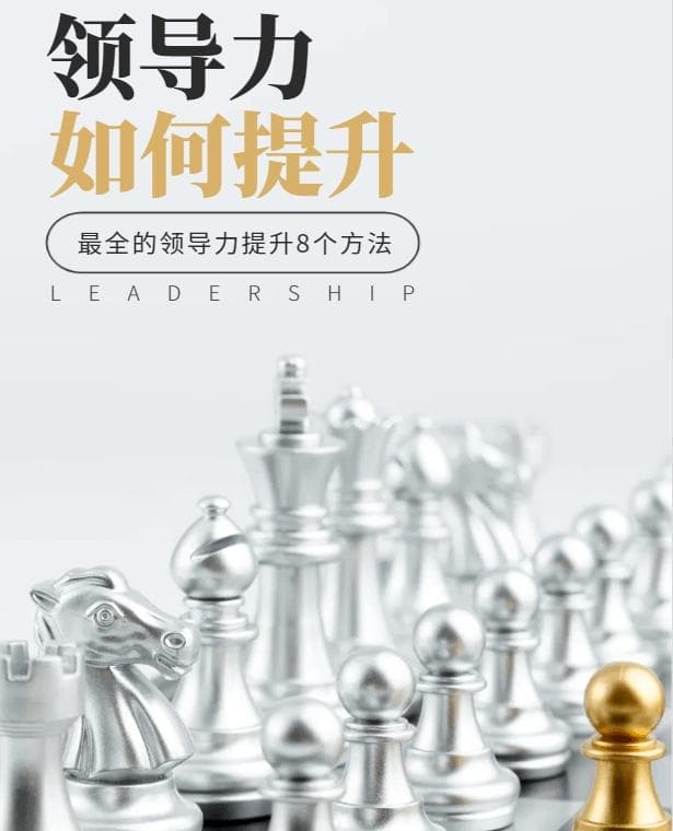 从情商到政治头脑：全方位提升领导力指南