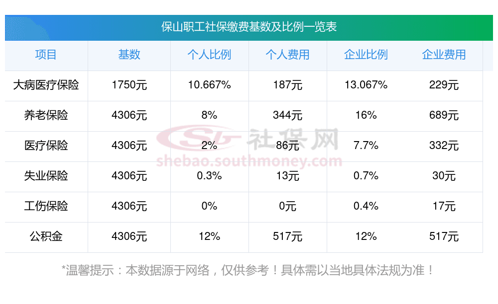 2025年保山社保缴费标准及比例详解