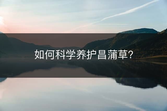 如何科学养护昌蒲草？