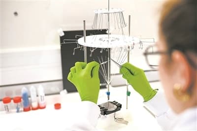 人工蜘蛛丝会发光，具有生物兼容性——手术缝合线增添新“技能”
