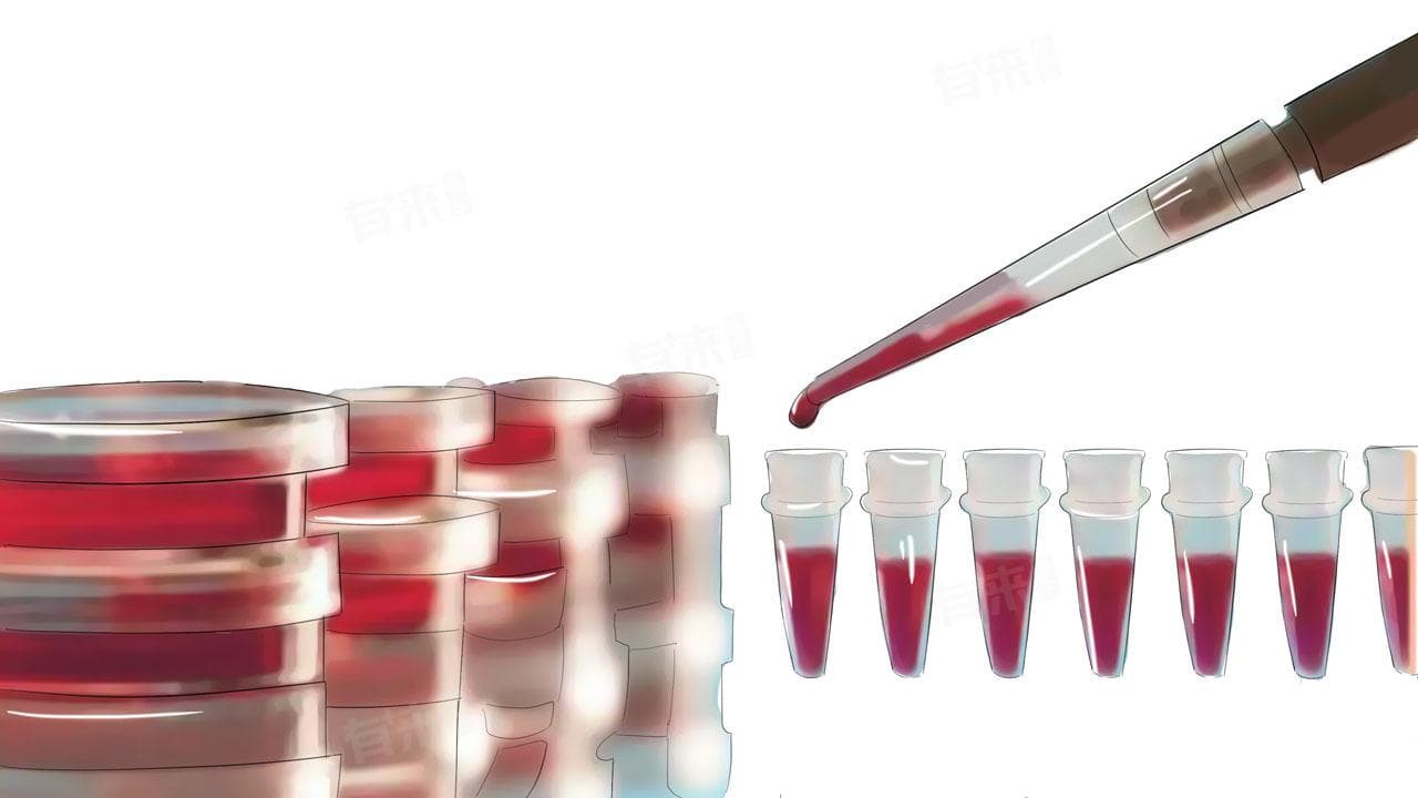 怎样判断缺钾了