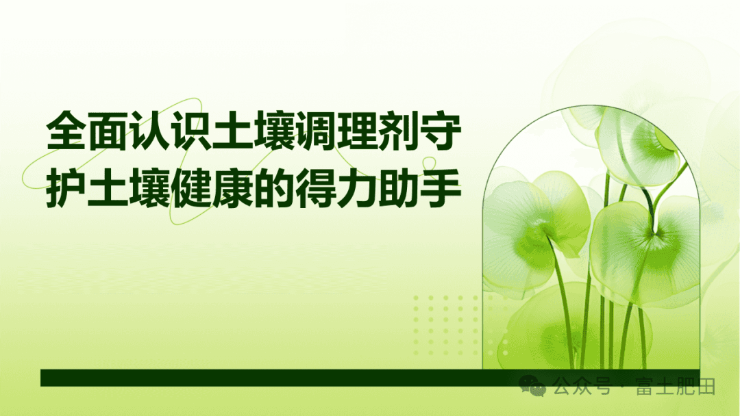 全面认识土壤调理剂：守护土壤健康的得力助手