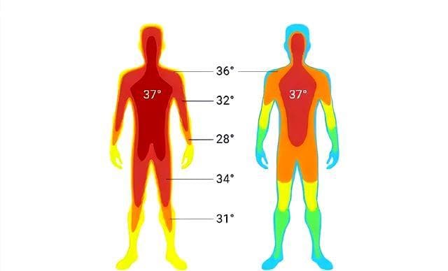 不是37℃！多项研究发现，人类体温37℃成历史，体温低意味着什么
