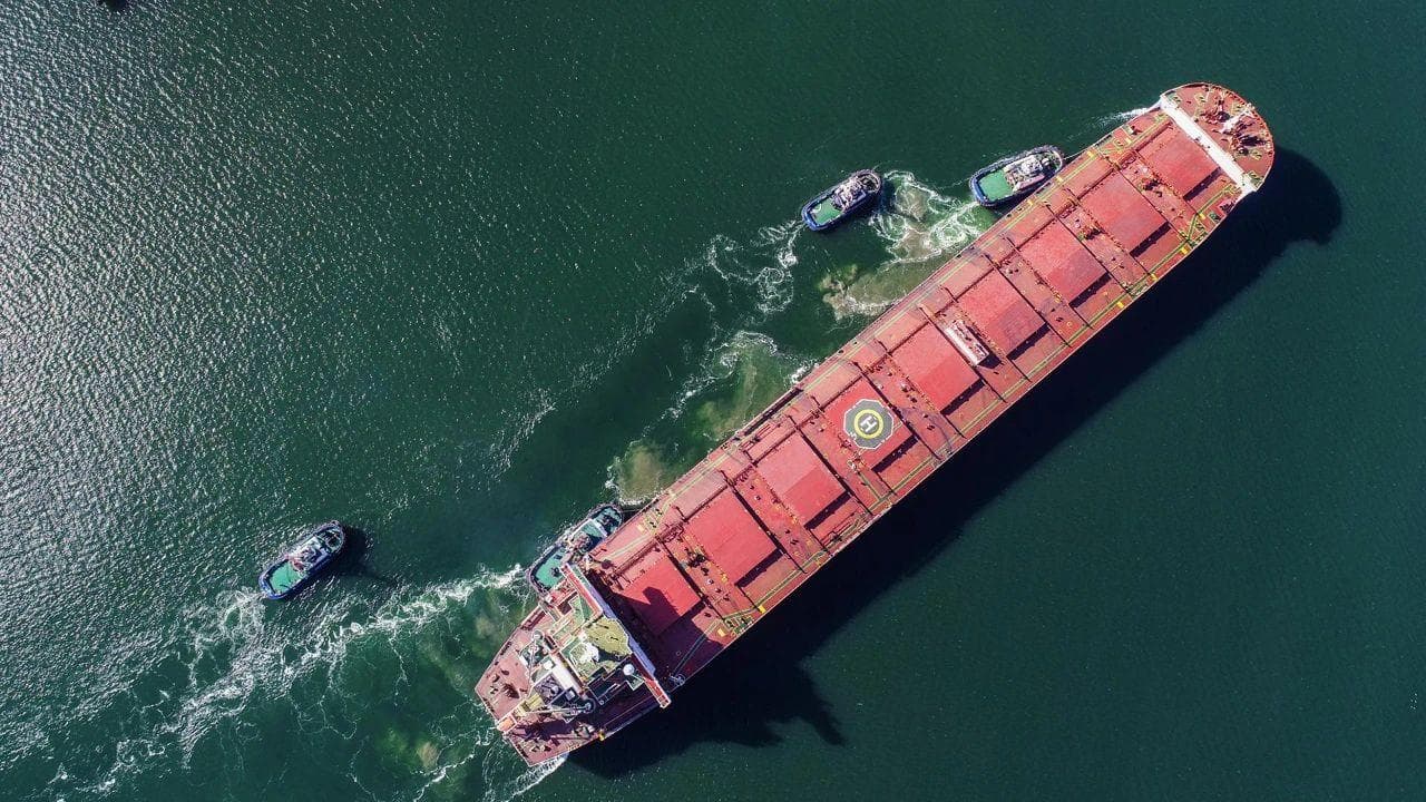 INTERCARGO发布2024年干散货船事故报告：搁浅和货物液化是主要风险因素