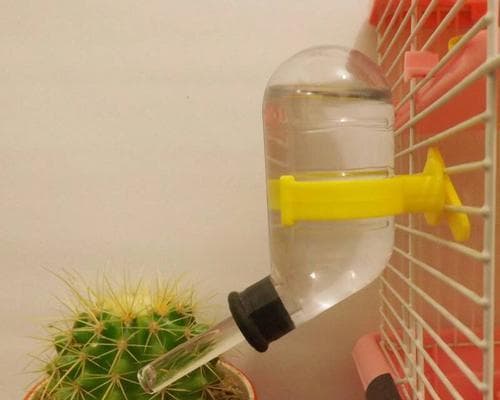 自制仓鼠饮水器（让仓鼠喝到清新水源的创意方法）