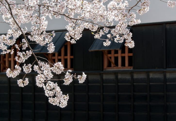 年兽的真实样子：从传说中的怪兽到文化符号