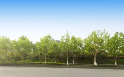 成都市凤凰山公园