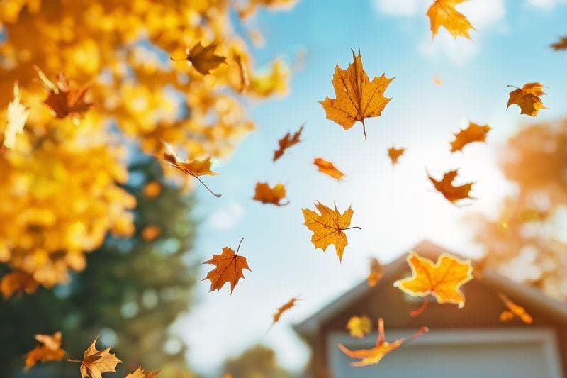 "Fall"还是"Autumn"？哪个更正确？为什么？