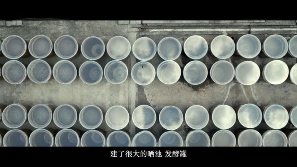 《酱油是什么》开播首周带动科普热，从餐桌到世界认识中国“鲜”味