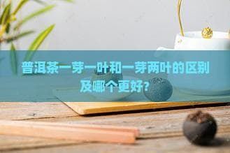 普洱茶一芽一叶和一芽两叶的区别及哪个更好？