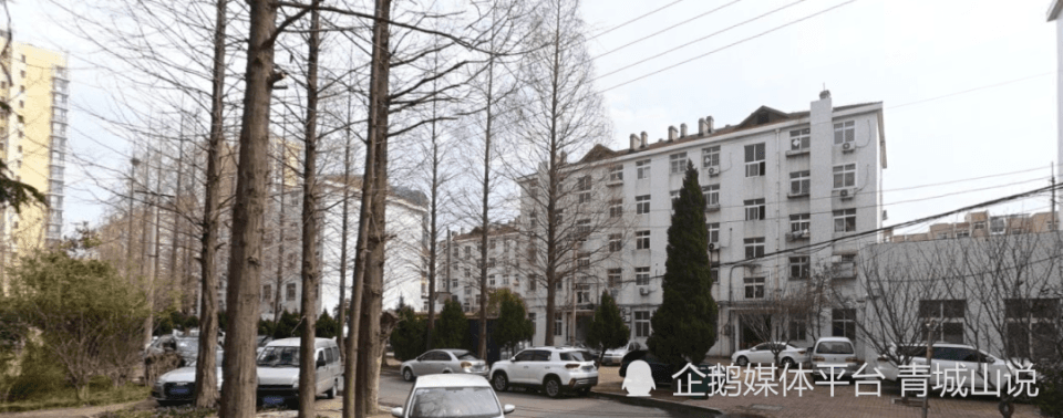 风向变了！青岛一97年老小区整体拆迁，老破小有救了？