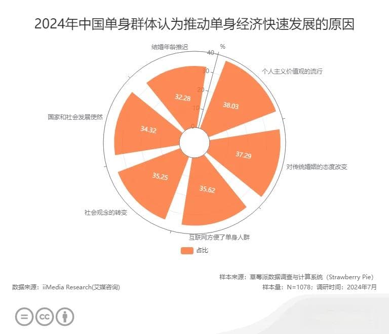 2024年中国单身经济市场发展状况与用户行为调查数据