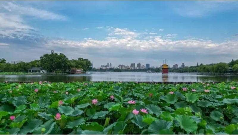济南城市软实力“全面开花”