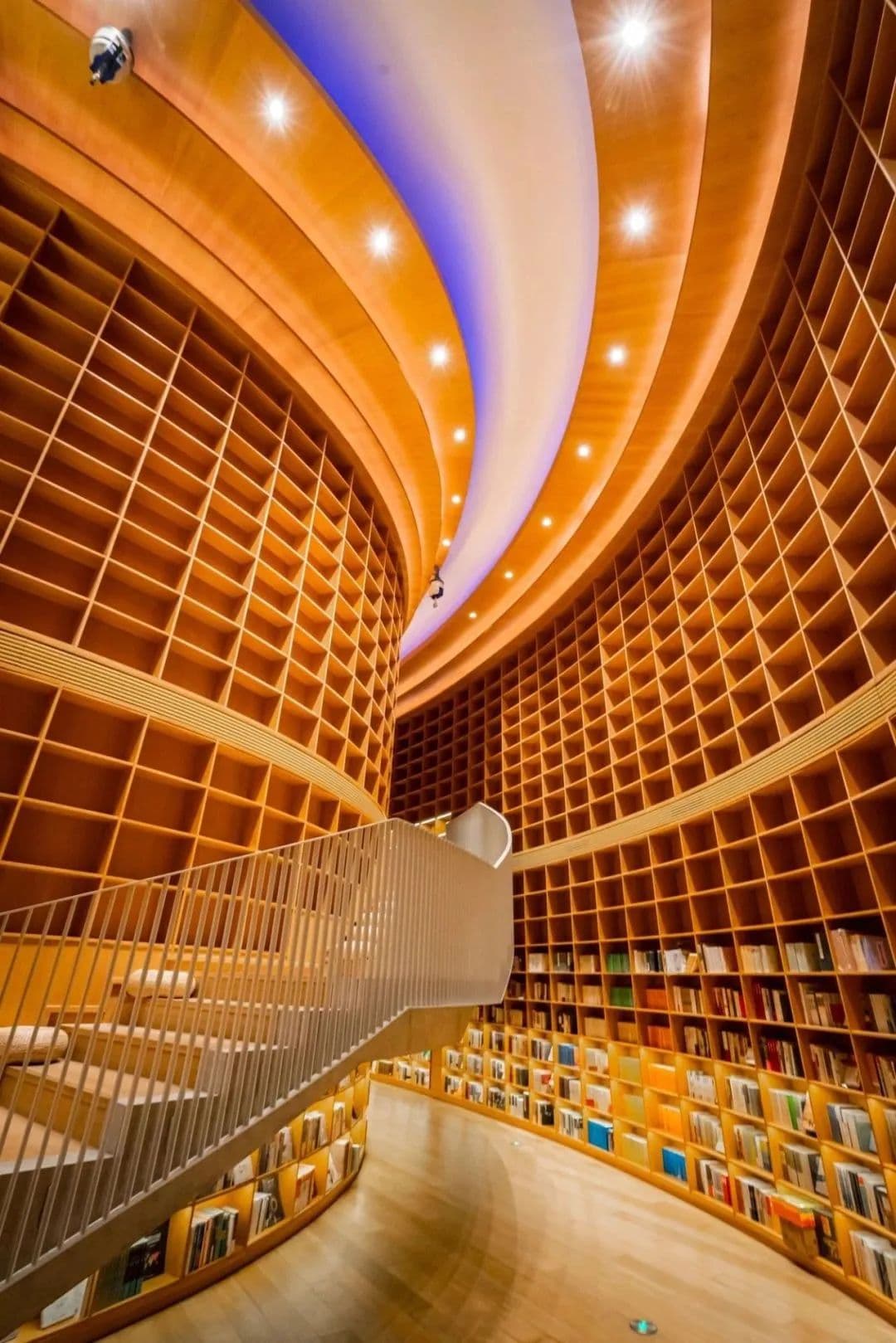 邂逅中外建筑大师！上海近期建筑主题展览全攻略