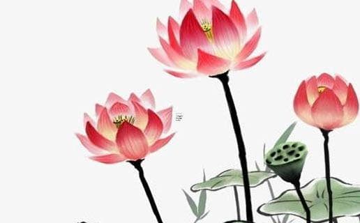 2025年正月开业黄道吉日的风水分析 开业风水对生意的影响