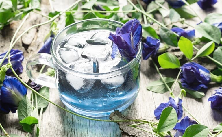 蝶豆花：营养师揭秘4大好处及食用禁忌