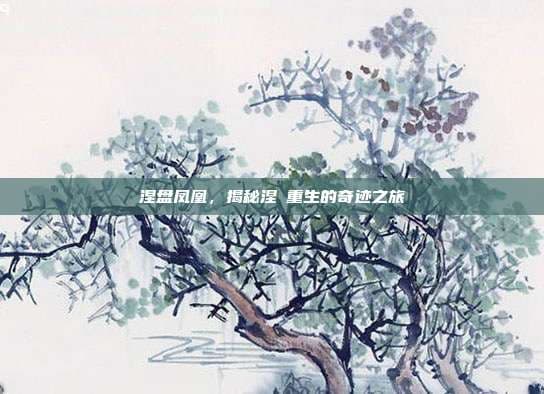 涅槃凤凰：从神话到现实的精神传承