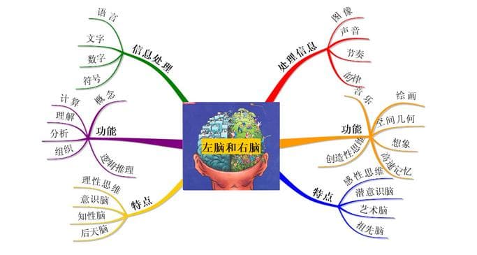 HBDI全脑优势测试：了解你的思维模式与职业倾向