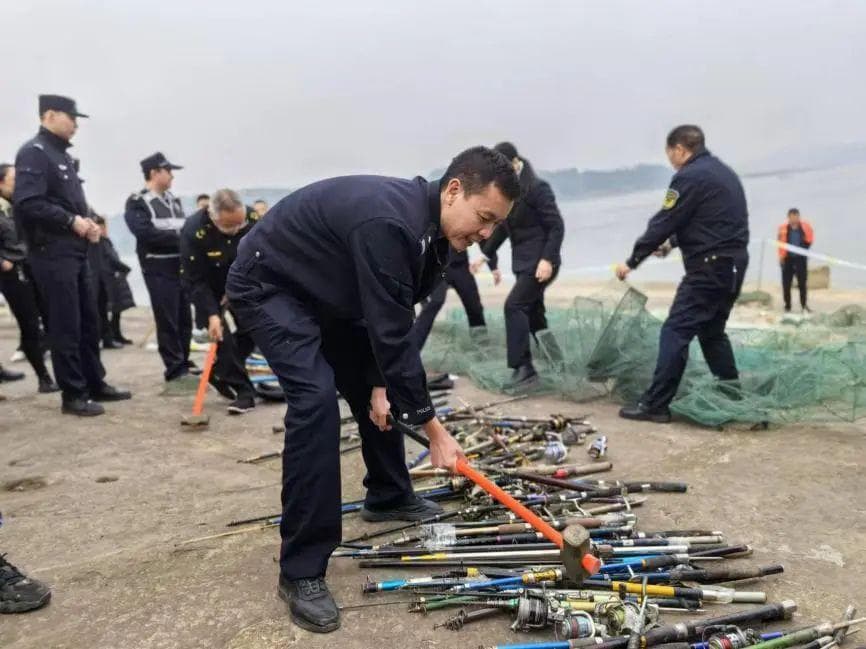 重庆启动“春季护渔”行动，多部门联动保护长江流域生态环境