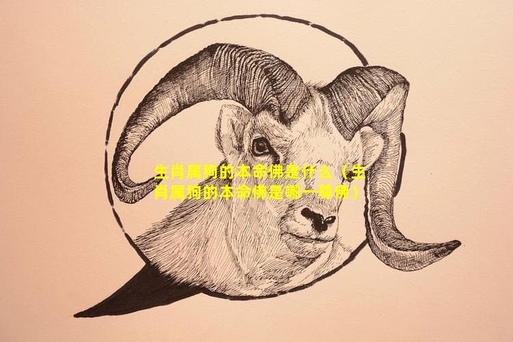 生肖属狗的本命佛是什么（生肖属狗的本命佛是哪一尊佛）