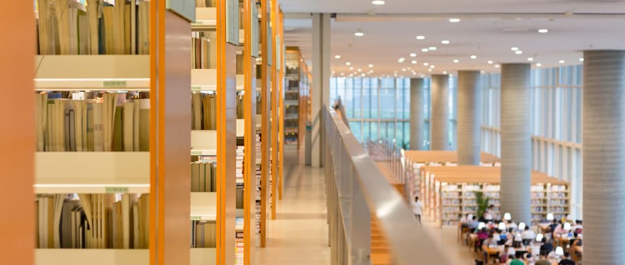 广东省重点大学排名及分数线汇总（2025年最新榜单）