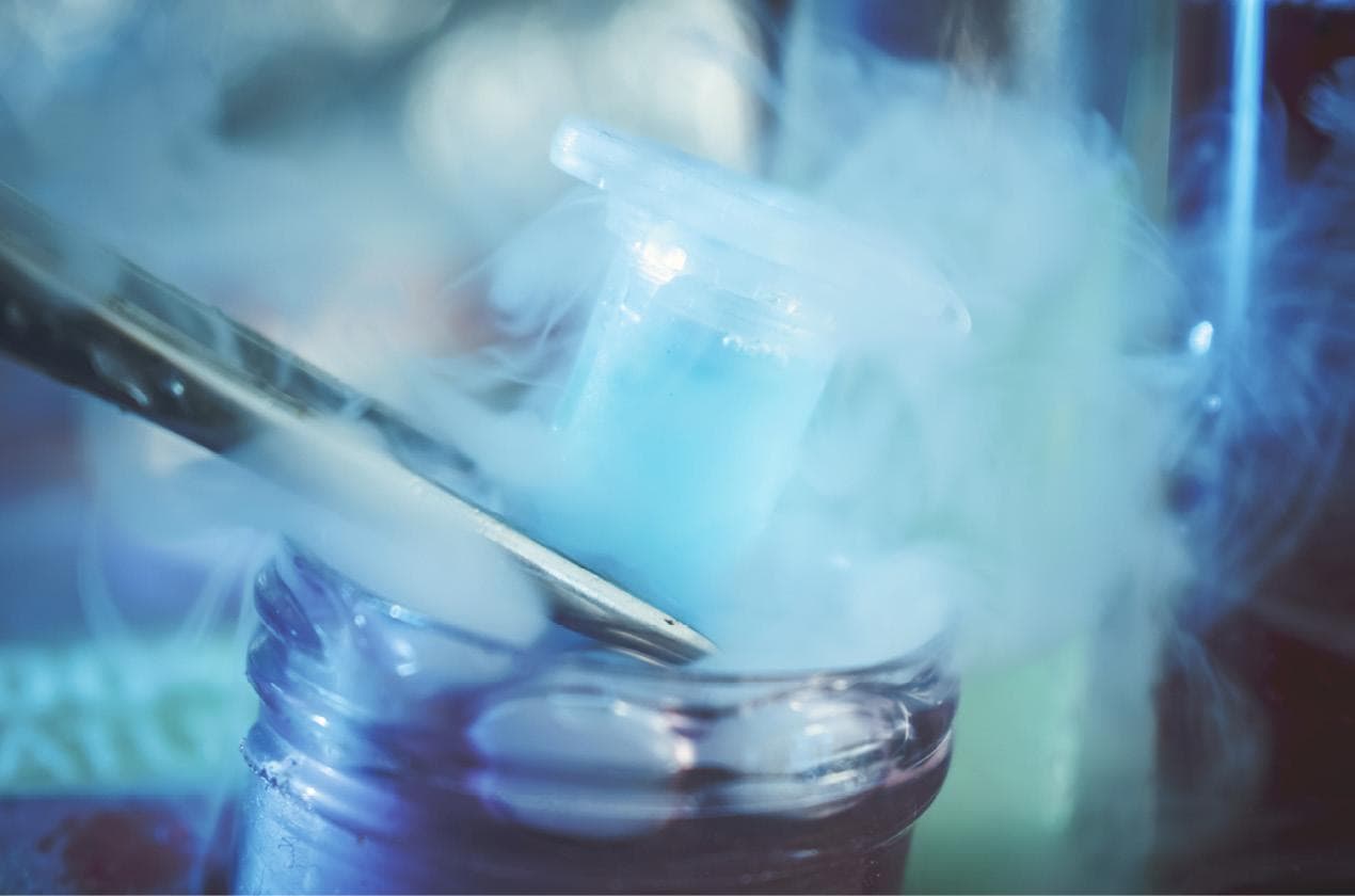 凍卵：世界各地卵母細胞冷凍保存的法律現況