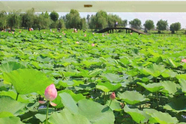 昆明阳泉交通指南：四种方式对比助你轻松出行