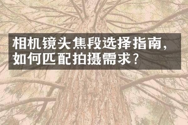 相机镜头焦段选择指南，如何匹配拍摄需求？