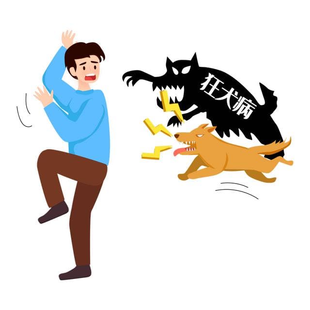狂犬病一旦发病，致死率几乎为100%！治疗关键在于预防！