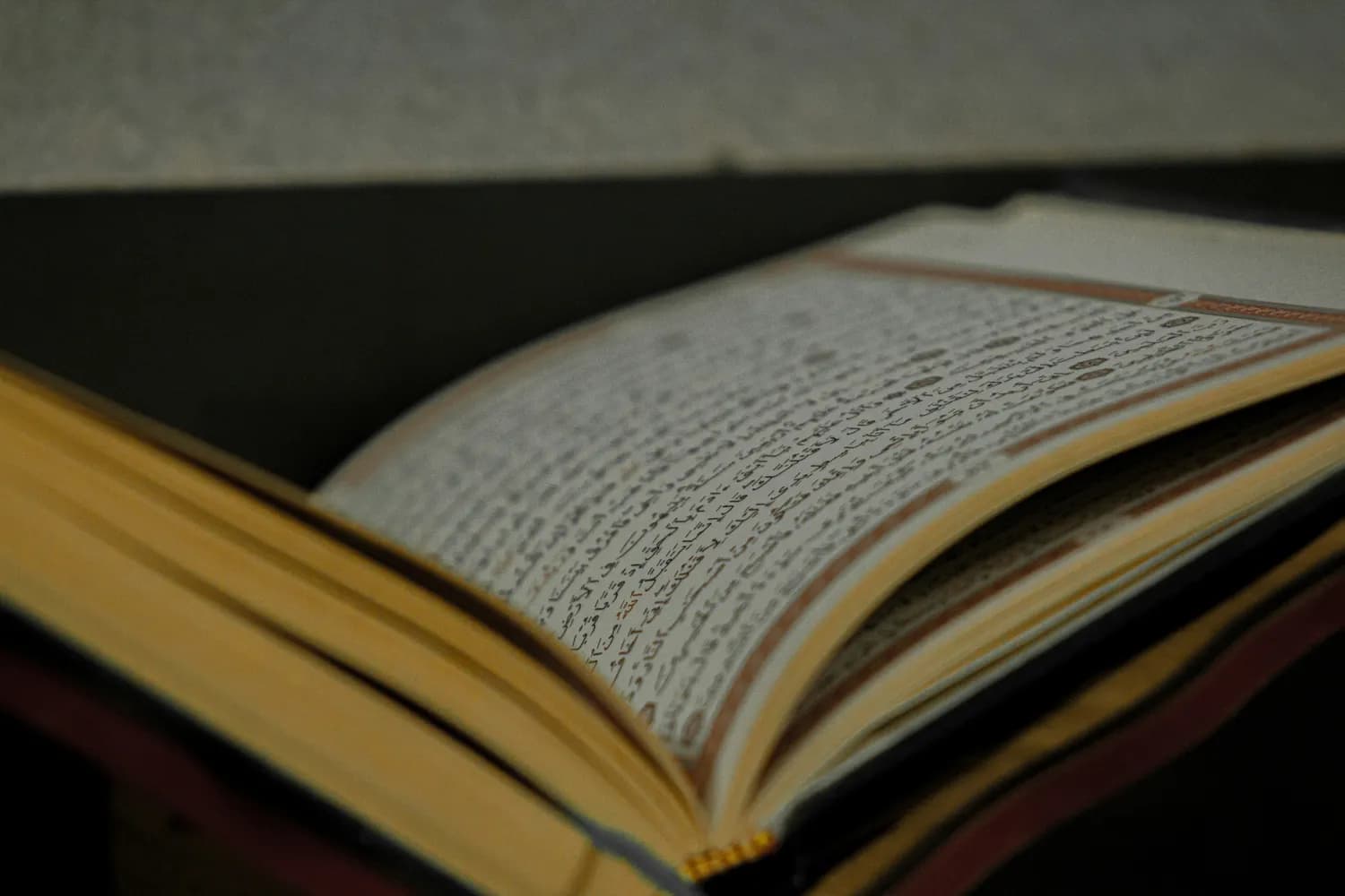 福布斯讲师推荐：《历史教你说话》