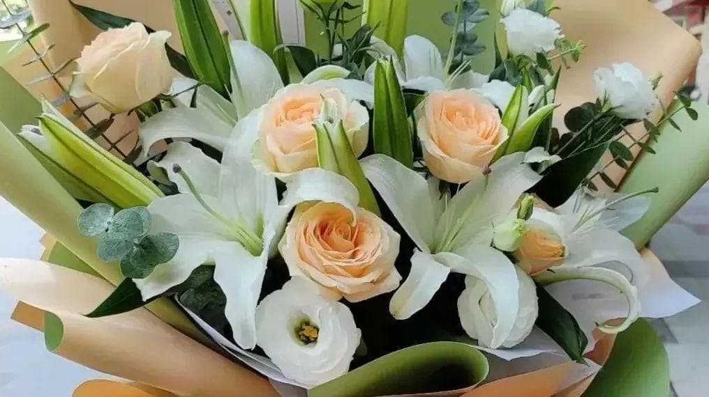 花期有限，快来看改变世界的“帝王”百合